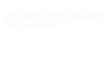 are blue vibe cbd gummies a scam