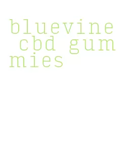 bluevine cbd gummies